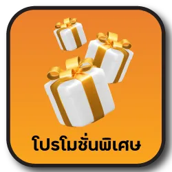 โปรโมชั่นพิเศษ